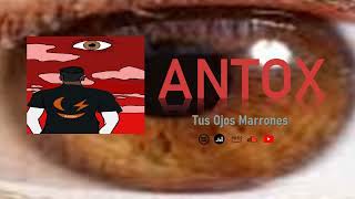 Antox  Tus Ojos Marrones [upl. by Nuawaj]