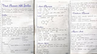 Major plant hormones and their functions phytohormones Insidelearning [upl. by Avilo]