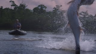 Pesca de gigantes  River Monsters  Discovery Latinoamérica [upl. by Namrac164]