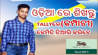 ODIA TALLY VIDEO PART 1 how to creat a company [upl. by Tessil]