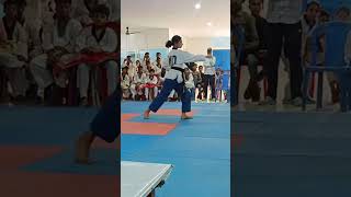 poomsae 13 sipjinTaekwondopoomsae [upl. by Halona]