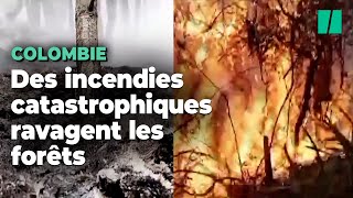 La Colombie plongée dans une lutte acharnée contre les feux de forêt [upl. by Snej]