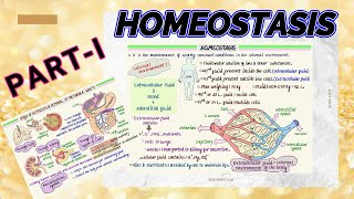 Homeostasis Partl ll What is Homeostasis The Ayu Learner ll Medical Physiology Lecture Video ll [upl. by Lizabeth375]