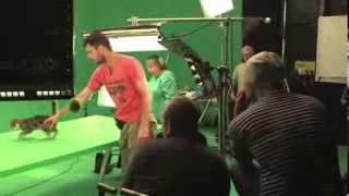 Making of the Feliway Advert behind the scenes and interviews [upl. by Farr]