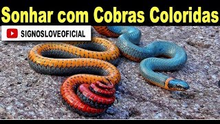 SONHAR COM COBRA COLORIDA  Significado Sonhar Com Cobra [upl. by Gildus]