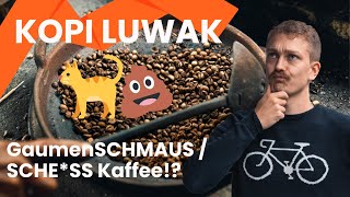 KOPI LUWAK Kaffee teuerster Kaffee der Welt [upl. by Elmira]