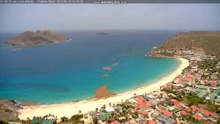 Seaweed washes ashore at St Barths Flamand Beach [upl. by Hapte]