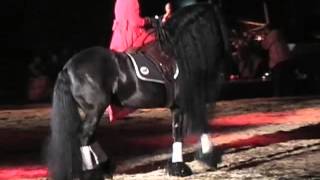 Friesian Horse Show Saskia Meinema Herman Wientjes [upl. by Odranreb]