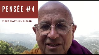 Pensée 4  Linterdépendance  Matthieu Ricard [upl. by Adnawahs602]