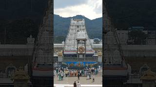 tirupati tirumala temple tirupati tirumala tirumalanews ttd tirupatibalaji youtubeshorts [upl. by Anahsek]