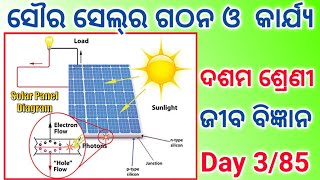 solar cell class10 life science class10 internal assessment 3 life science principle of solar cell [upl. by Cthrine]