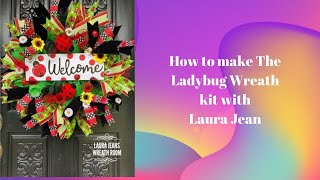 How to make a Ladybug Kit with Laura Jean [upl. by Bouley]