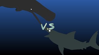 sperm whale vs megalodon [upl. by Denver]