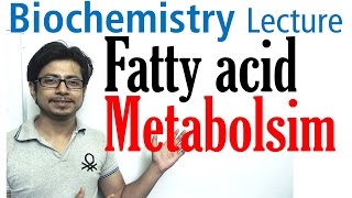 Fatty acid metabolism digestion and transport [upl. by Hailahk]