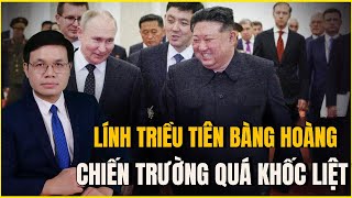 Thương Vong Hơn 1000 Người Mỗi Ngày Lính Triều Tiên Sợ Vỡ Mật Vì Chiến Trường Khốc Liệt [upl. by Nwahsuq766]