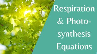 How to write important Photosynthesis amp Respiration Equations  Biology Revision Years 7 8 amp 9 [upl. by Amimej176]