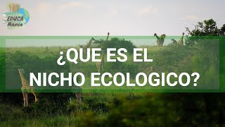 ¿QUE ES UN NICHO ECOLOGICO TIPOS Y EJEMPLOS [upl. by Zasuwa]