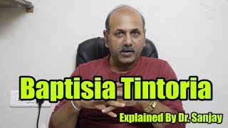 Baptisia Tintoria Explained By Dr Sanjay [upl. by Eidda]