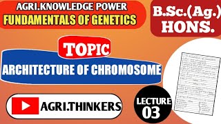 ARCHITECTURE OF CHROMOSOME  FUNDAMENTALS OF GENETICS  LECTURE3  AGRITHINKERS [upl. by Mariana]