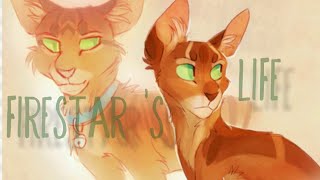 Firestar s Life  Warriors  In the name of love [upl. by Annaear210]