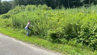 Chrissie Mayr LIVE on a Hike in Westchester [upl. by Abixah]