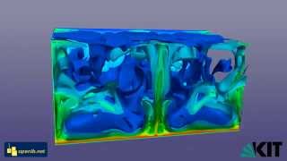 Rayleigh Benard Thermal Convection 3D Simulation with LBM  Simulations in Process Engineering [upl. by Lexi]