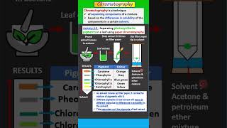 SPM BIOLOGY FORM 5 Chapter 2 24 Important experiment on photosynthetic pigments [upl. by Halette]