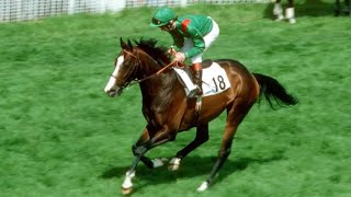 The Mysterious Kidnapping of Shergar Racings Unsolved Case [upl. by Barbe620]