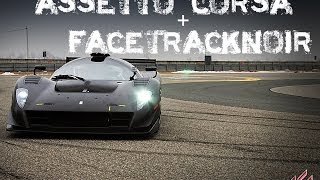 Assetto Corsa amp FaceTrackNoIR 1080p [upl. by Onairelav]