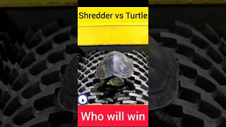 shredder vs turtle who will win facts shredder experiment hydraulictechnology makingmachine [upl. by Pia]