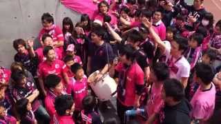 2014年J1リーグ第7節 セレッソ大阪ガンバ大阪 ダービー！ セレッソ決起集会 [upl. by Yeldnarb497]