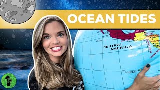 Ocean Tides Explained  Spring amp Neap Tides [upl. by Atelokin407]