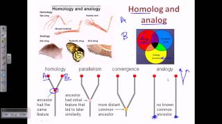 Bioinformatics part 17 homolog analog xenolog [upl. by Yennek]