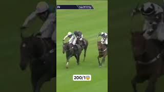 2001 Winner causes a huge upset at Huntingdon youtubeshorts horse horseracing racing youtube [upl. by Mariande]