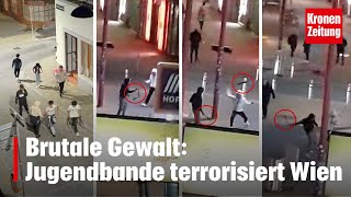 Jugendbande terrorisiert Wien GewaltorgieVideo  kronetv NEWS [upl. by Llesram]