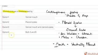 Chondrichthyes is characterised by47 [upl. by Haroldson]
