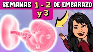 ¿Qué OCURRE en la SEMANA 1 y 2 de EMBARAZO  Semana 1 2 y 3 ¿Que sucede Comienzo del Embarazo🤰 [upl. by Llyrad]