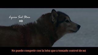 David Guetta  She Wolf  Lyrics Español [upl. by Adnot384]