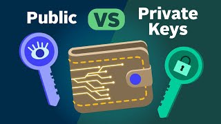 How Public and Private Key Work In Your Crypto Wallets [upl. by Lutero]