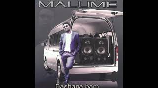 Bashana Bami  Bootleg Remix    Ft Ben Produces  Malume  Simmytainment [upl. by Nameloc]