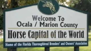 The History of Ocala [upl. by Nilesoy]