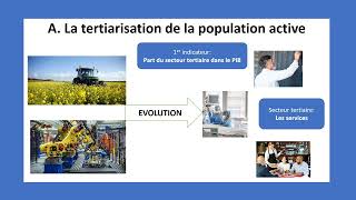 Comment est structurée la société française les évolutions de la population active 34 [upl. by Suicul]