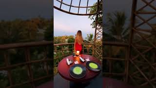 A romantic treetop restaurant Terra [upl. by Buderus211]