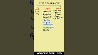 Lipids Classification  Classification of Lipids  Lipids biochemistry medicine [upl. by Naejamron]