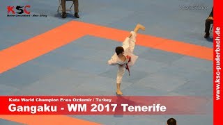 Kata Gangaku by World Champion U16 Enes Ozdemir [upl. by O'Shee]