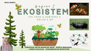 Ekosistem II Rantai Makanan JaringJaring Makanan Keseimbangan Ekosistem  IPA Kelas 5 SD Tema 5 [upl. by Reinhold]