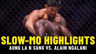 Aung La N Sang vs Alain Ngalani  SlowMo Fight Highlights [upl. by Gimble770]