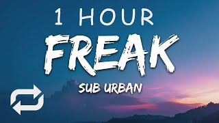 1 HOUR 🕐  Sub Urban  Freak Lyrics feat REI AMI [upl. by Rochette275]