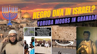 HARVARD FINDS NEGRO DNA E1B1A IN ISRAEL YORUBA JEWS OF GRENADA [upl. by Kucik434]