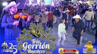 Trio Gorrion Huasteco en Ahuacatlan de Guadalupe 2022 [upl. by Yllatan]